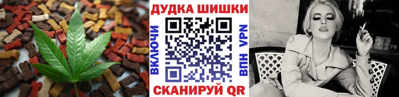 продажа наркотиков  Луга  МЕГА ссылки  Cannafood марихуана 