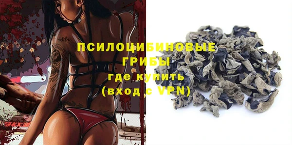 PSILOCYBIN Нефтегорск
