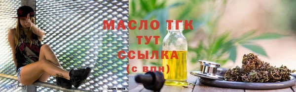 spice Болотное