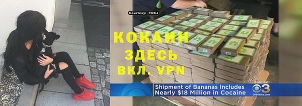 PSILOCYBIN Нефтегорск