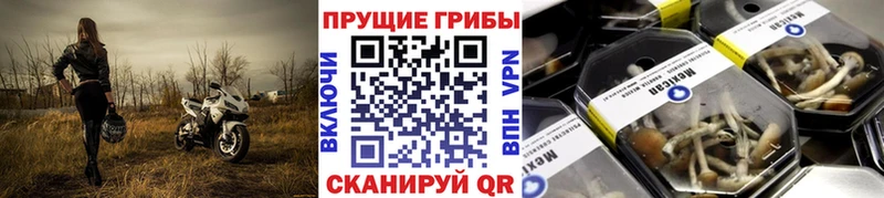 omg сайт  Луга  Псилоцибиновые грибы ЛСД 