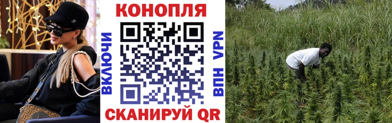 Каннабис White Widow  omg маркетплейс  Луга 