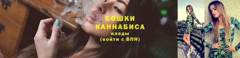 Каннабис SATIVA & INDICA  купить   Луга 