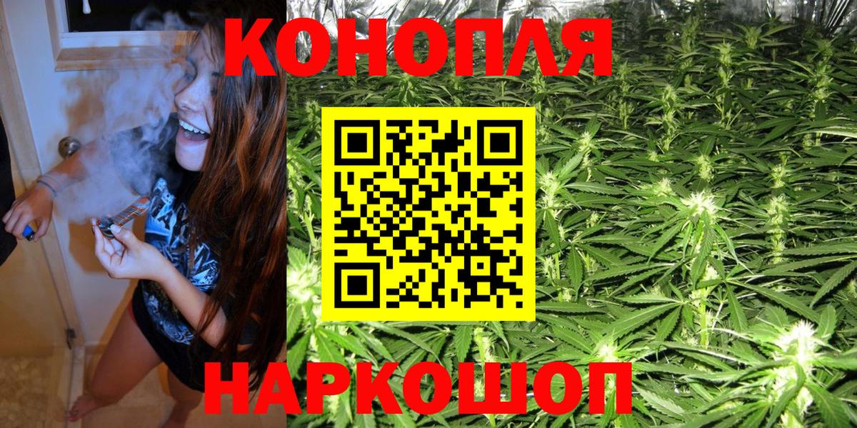 Конопля гибрид Луга